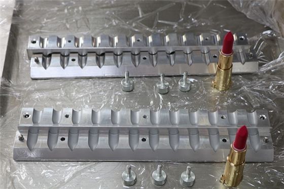 Maty ptasie dziób zmarznięty Custom Lipstick Mold 12 otworów ISO